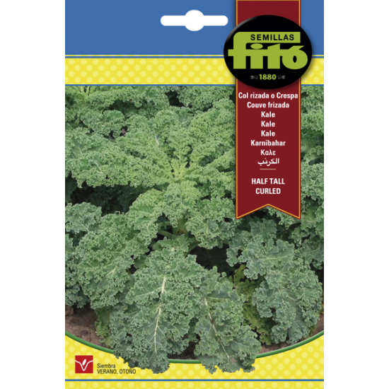 Кейл (Kale)