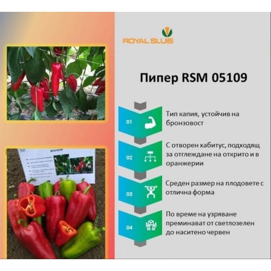 Пипер RSM 5109 F1