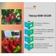 Пипер RSM 5109 F1