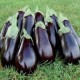 Патладжан Барселона (Barcelona F1)