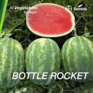 Дини Ботъл рокет (Bottle Rocket F1)