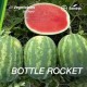 Дини Ботъл рокет (Bottle Rocket F1)