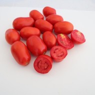 Домати Би Кю 400 F1(BQ400 F1)