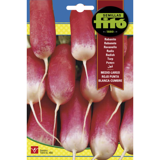 Репички средно продълговати червено-бели  (MEDIUM LONG RED WHITE TIP)
