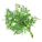 Копър