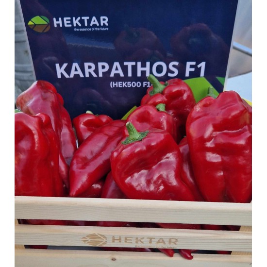Пипер Карпатос F1 (Karpatos F1)
