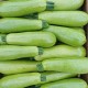Тиквички Киви (Kiwi F1)