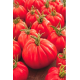 Домати Коразон F1 (Corazon F1)