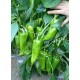 Пипер Мешур 48 F1 (Meshur 48 F1)