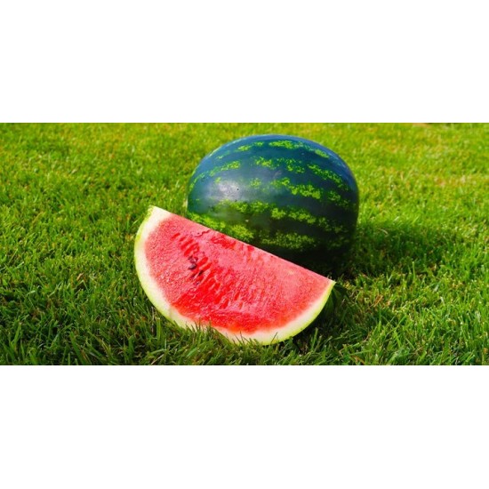 Дини Мирто (Mirto F1)