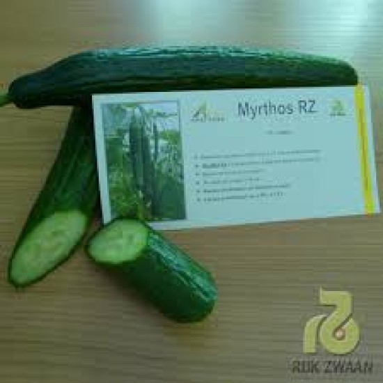 Краставици Миртос F1 (Myrthos F1)