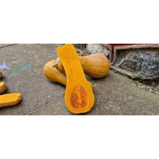Тиква Ориндж F1 (Orange F1)