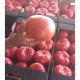 Домати Пинк Ай ДИ(Pink ID F1)