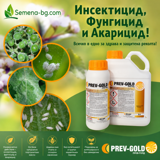 Прев Голд (Prev Gold)