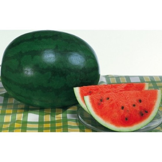 Дини Шугър Деликата (Shugar delicata F1)