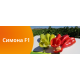 Пипер Симона F1 (Simona F1)