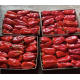 Пипер SV0102PP F1 