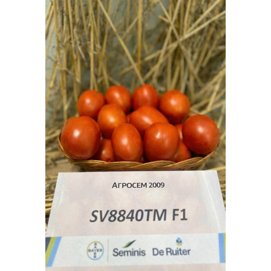 Домати SV8840TM F1
