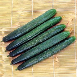Краставици Тести Грийн (Tasty green F1)