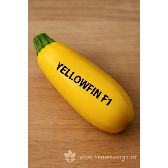Тиквички Йелоуфин F1 / Yellowfin F1 /