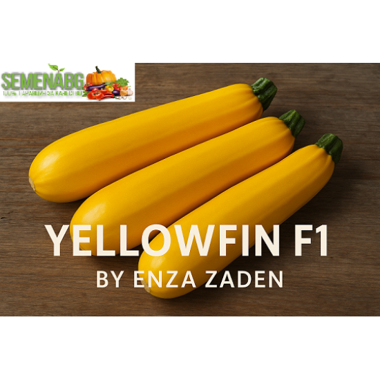 Тиквички Йелоуфин F1 / Yellowfin F1 /